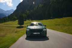 Nouvelle-Superb-Berline-camouflee-2