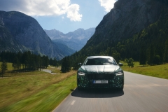 Nouvelle-Superb-Berline-camouflee-3