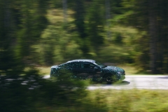 Nouvelle-Superb-Berline-camouflee-6