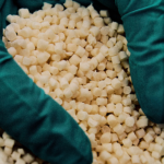 Uluu lève 16 millions de dollars pour une alternative au plastique issue des algues marines